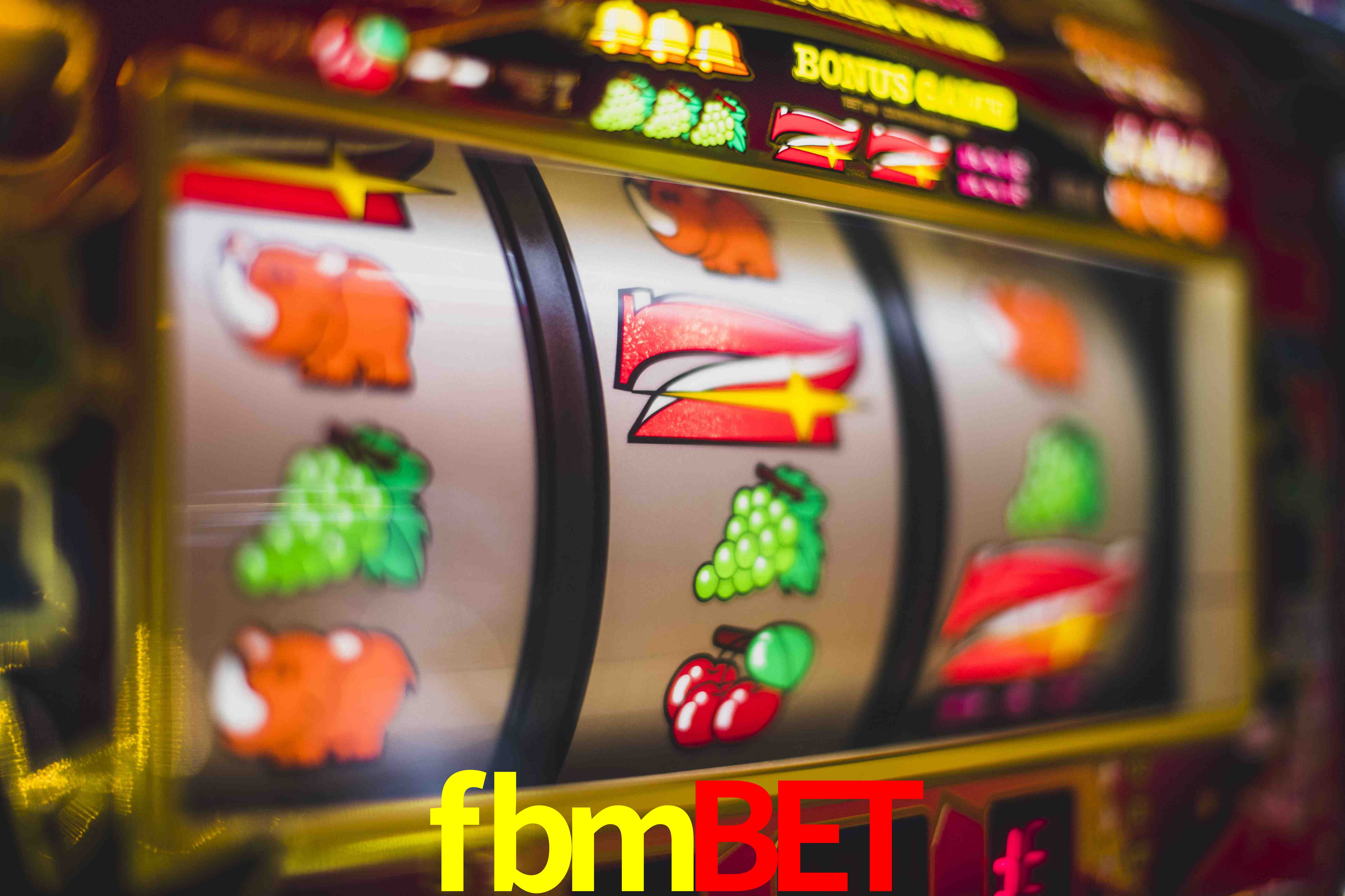 Sports Statistics fbmbet